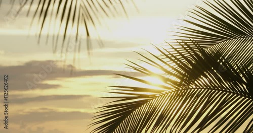 Palm tree sunset silhouette against golden sky background.
