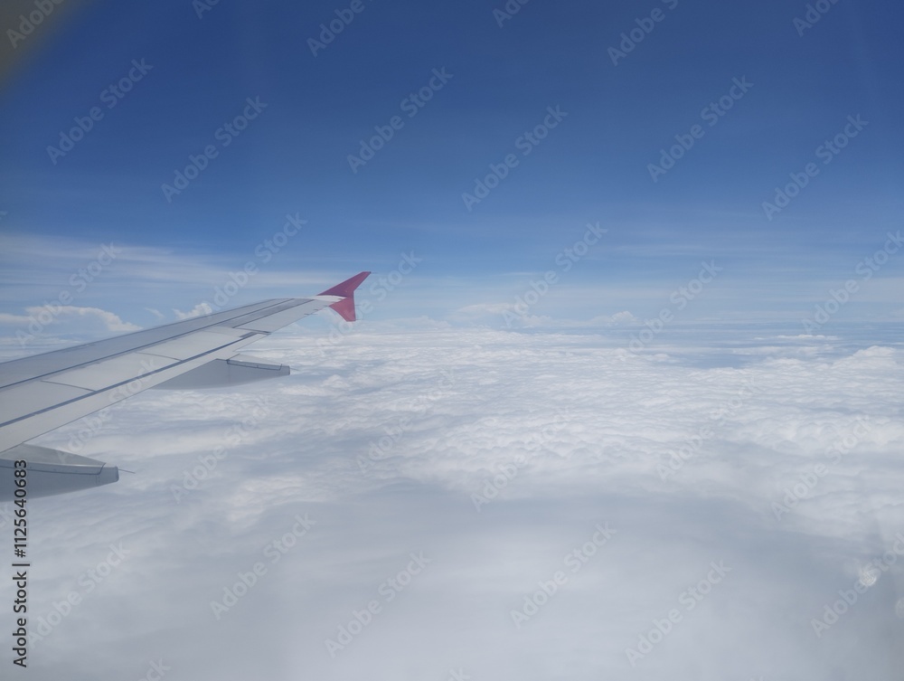Fototapeta premium Cloudy sky in flight over the state of Mato Grosso, Brazil