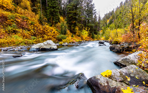 Rushing creek through a colorful fall forest in Montana