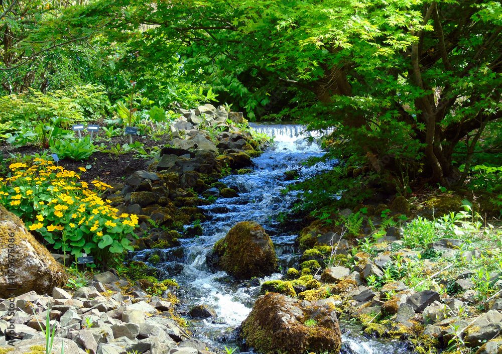 Obraz premium Royal Botanic garden river