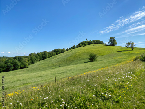 meadow with flowers. landscape, grass, sky, nature, field, meadow, green, summer, cloud, blue, mountain, rural, spring, countryside, hill, tree, clouds, country, horizon, view, land, pasture, hills, b photo