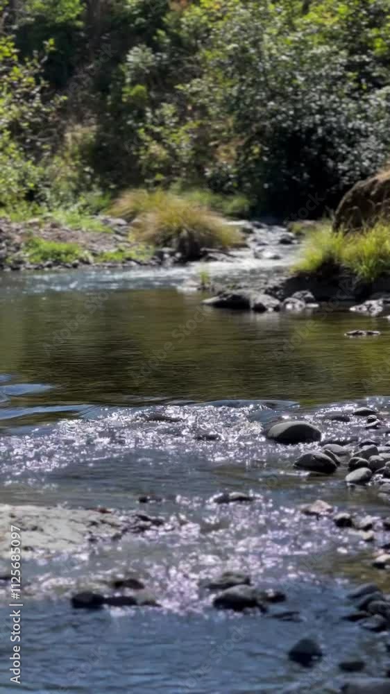 Slow creek in summer Slow creek in summer