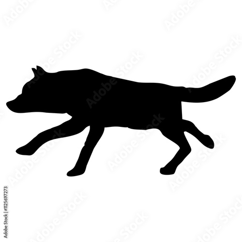A BLACK WOLF SILOUTE RUNS AND ROARS