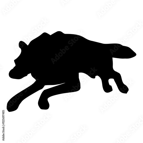 A BLACK WOLF SILOUTE RUNS AND ROARS