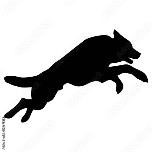 A BLACK WOLF SILOUTE RUNS AND ROARS
