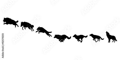 A BLACK WOLF SILOUTE RUNS AND ROARS
