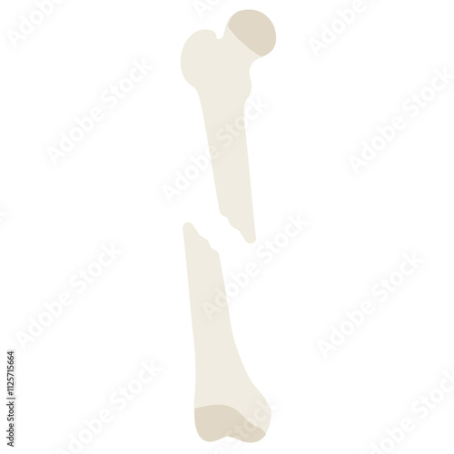 Fracture Flat Icon Vector Illustration 