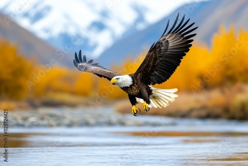 A dynamic photo of an eagle engaged in a territorial dispute with another bird, their wings and talons clashing mid-air