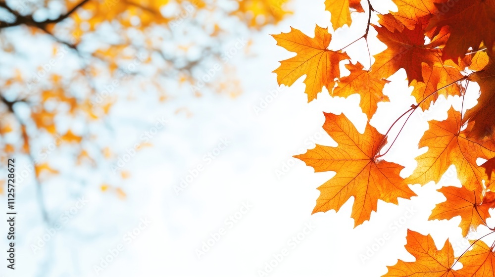 autumn foliage vibrant orange maple leaves against a bright background celebrating seasonal change and natural beauty autumn foliage vibrant orange maple leaves against a bright background celebrating seasonal change and natural beauty