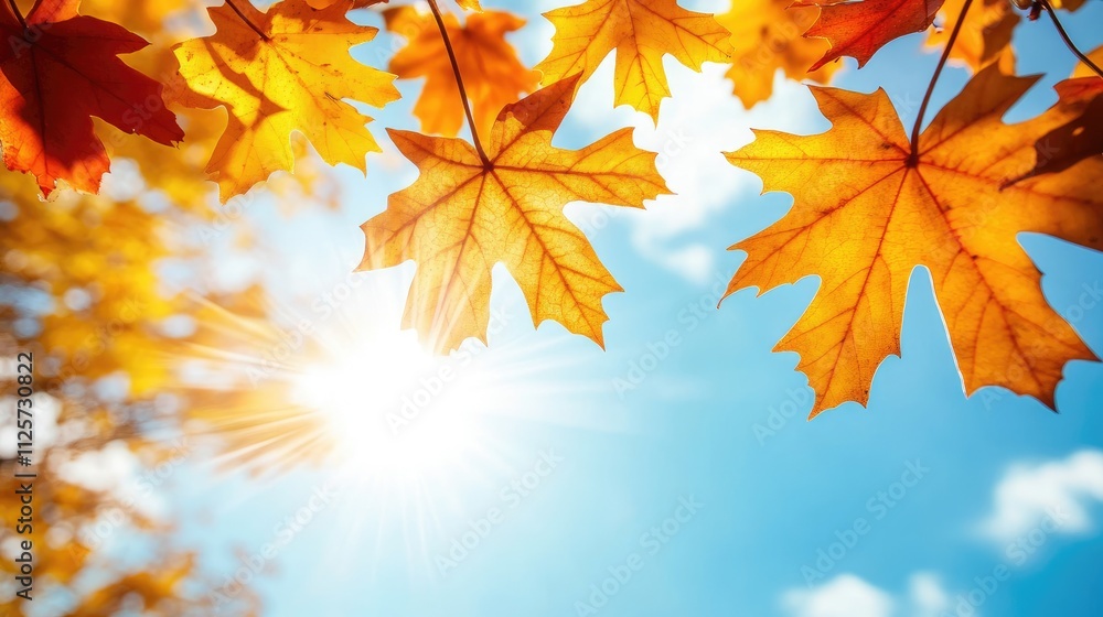 Autumn maple leaves with vibrant yellow and orange colors under a sunny blue sky creating a warm seasonal atmosphere with copy space Autumn maple leaves with vibrant yellow and orange colors under a sunny blue sky creating a warm seasonal atmosphere with copy space
