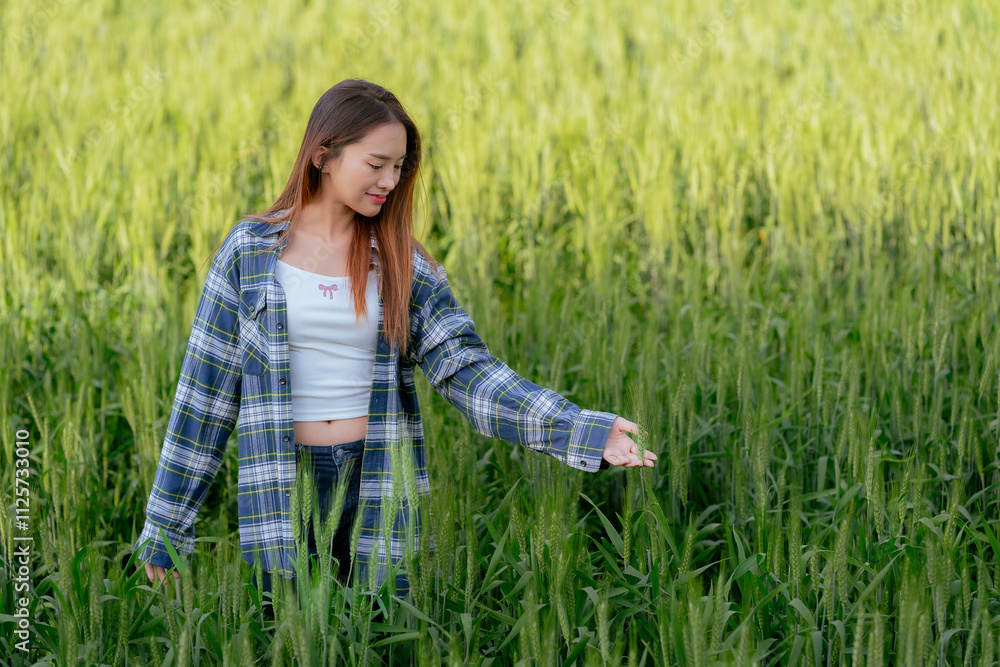 Young beautiful Asian woman stands in a field of yellow barley and enjoys summer in nature. To see the beautiful scenery of the barley fields, a solo summer travel idea. Young beautiful Asian woman stands in a field of yellow barley and enjoys summer in nature. To see the beautiful scenery of the barley fields, a solo summer travel idea.