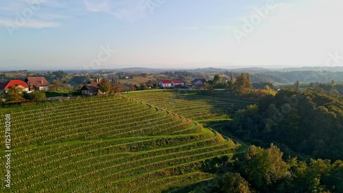 Stunning aerial 4K drone footage of an wine region of Jeruzalem, Slovenia. Filmed on a crisp, sunny late autumn day, this video shows beautiful Slovenian countryside surrounded by vineyards. photo