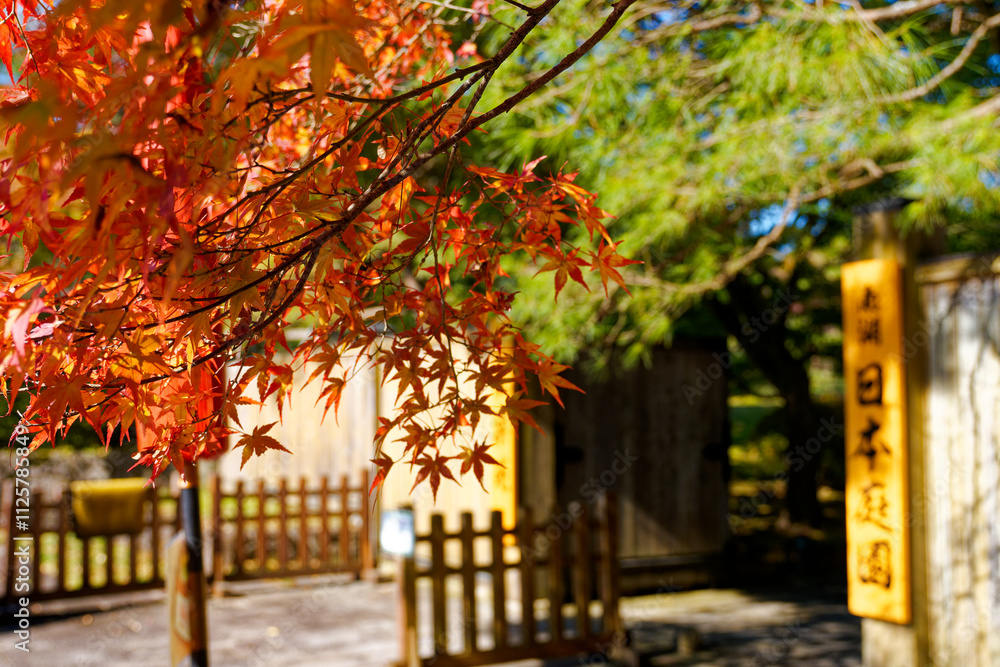 Naklejka premium 紅葉が美しい翠楽苑の秋