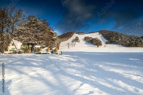 雪の降る寒い日 photo