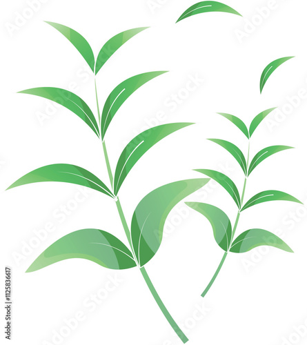 cartoonish vector illustration of tea tree branch