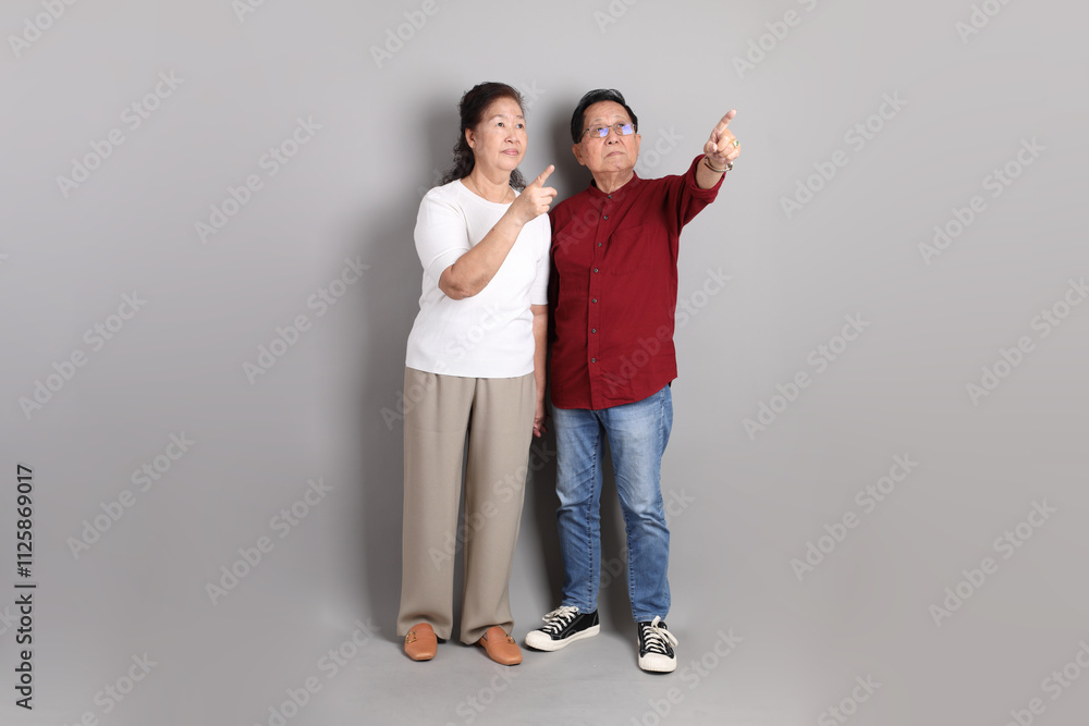 Senior Asian Couple Senior Asian Couple