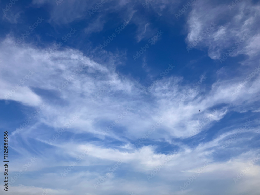 Framed by Nature: Whispering Clouds and Tree Silhouettes Against an Open Sky Framed by Nature: Whispering Clouds and Tree Silhouettes Against an Open Sky
