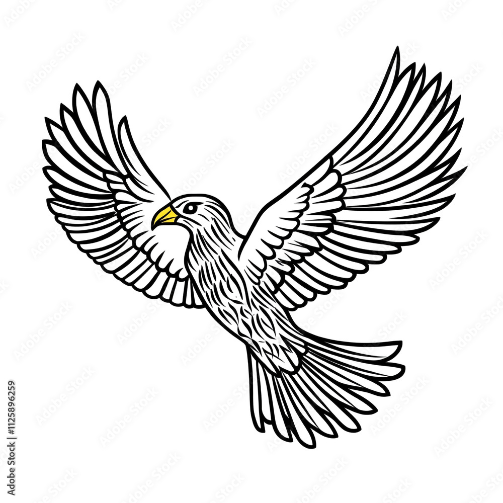 Obraz premium Majestic Black Bird in Flight: A Nighttime Silhouette