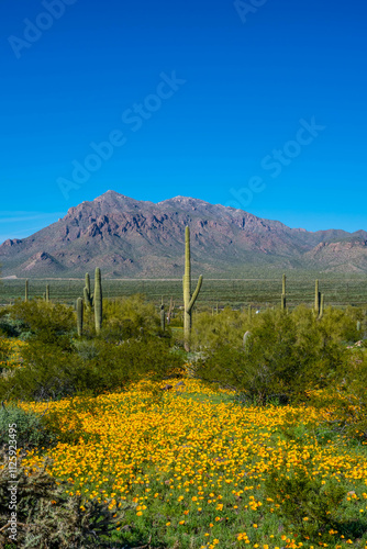 An overlooking view of Picacho Peak SP, Arizona