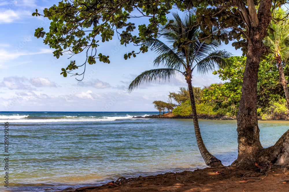 Φωτογραφία With beautiful white sand and protected by a reef on the Pacific Ocean, Anahola Beach, on the east side of Kauai, Hawaii, is popular for swimming and snorkeling