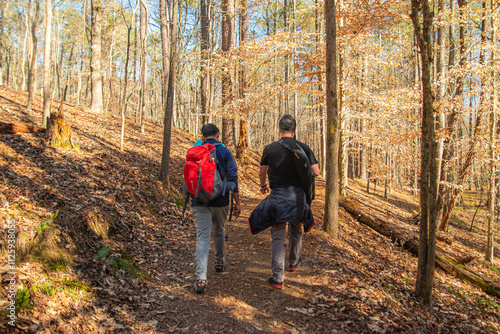 Canvas Print Hiking in the woods connects you with something bigger than yourself, Red Top Mo