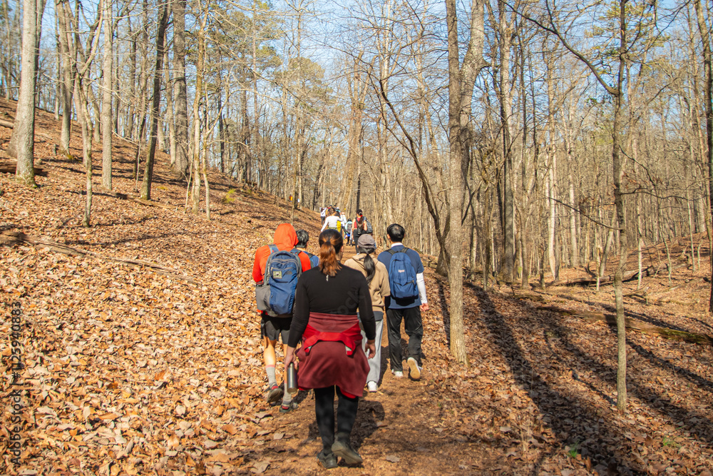 Hiking in the woods feels like walking through a living masterpiece, Red Top Mountain State Park, Acworth, Georgia, United States of America Hiking in the woods feels like walking through a living masterpiece, Red Top Mountain State Park, Acworth, Georgia, United States of America