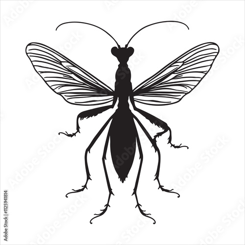A vector silhouette image of a mantis icon with a white background