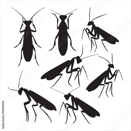 A vector silhouette image of a mantis icon with a white background