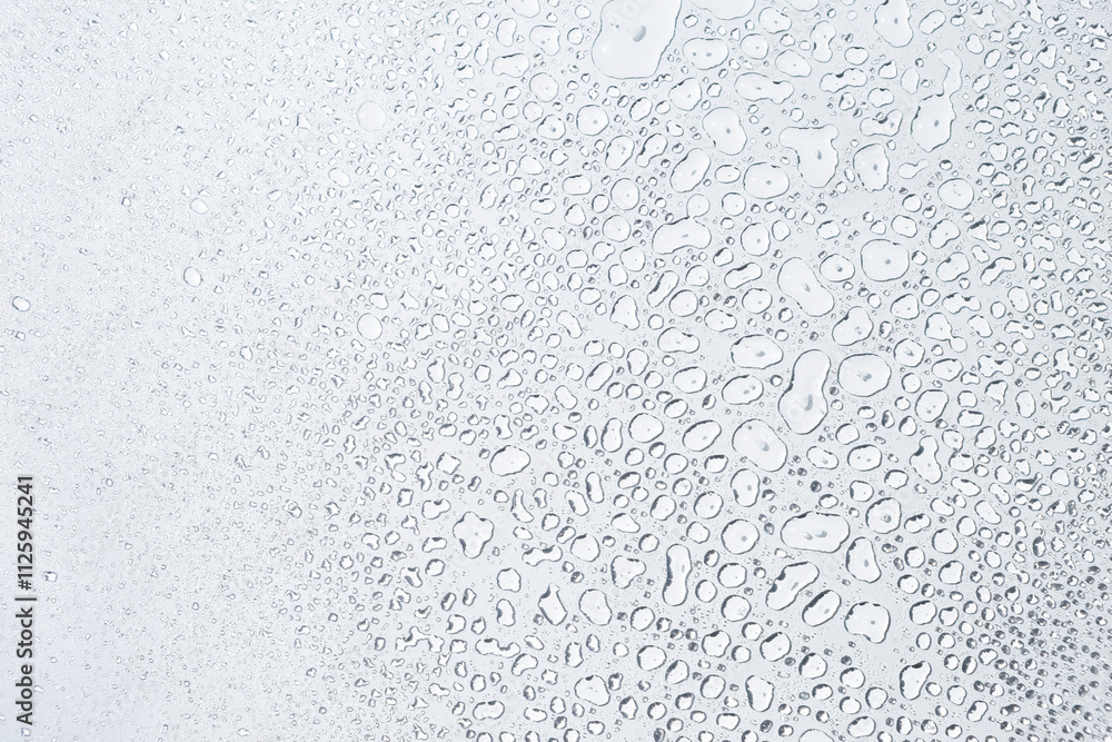 Closeup water drops on white background, water drops pattern background Closeup water drops on white background, water drops pattern background