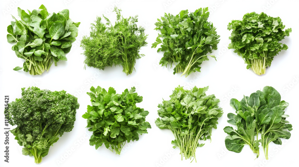 Naklejka premium Fresh herbs arranged beautifully on white background, showcasing vibrant greens