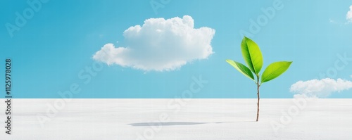 A single green sprout emerges from a white surface under a clear blue sky, symbolizing hope and new beginnings.