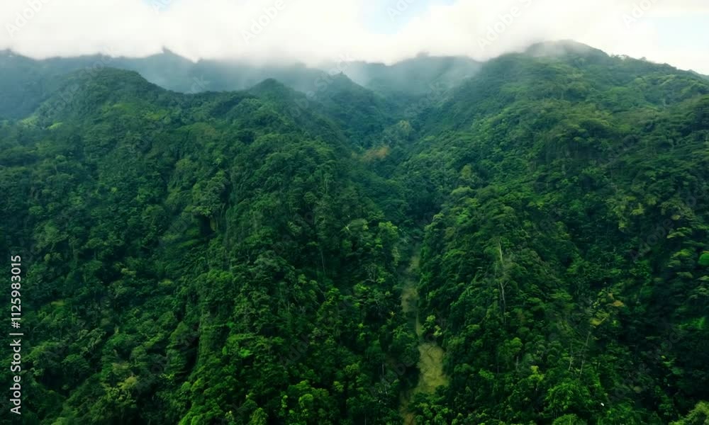 Lush green mountains shrouded in mist, showcasing the beauty of nature. Lush green mountains shrouded in mist, showcasing the beauty of nature.