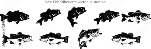 bass fish silhouette vector illustration