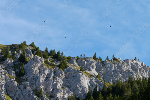 sommet du linleu  en haute-savoie photo