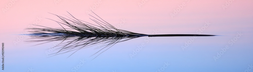 Grass stem reflection in calm pastel water Grass stem reflection in calm pastel water