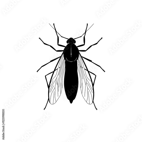 2D full body illustration of a gall midge silhouette isolated on a white transparent background photo