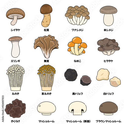 キノコのイラストセット