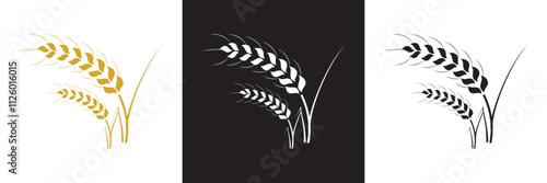 Set of simple wheats ears icons and wheat logo design elements for beer, organic fresh food corn farm, bakery themed agriculture design, grain element,  isolated on white and black background. EPS 10