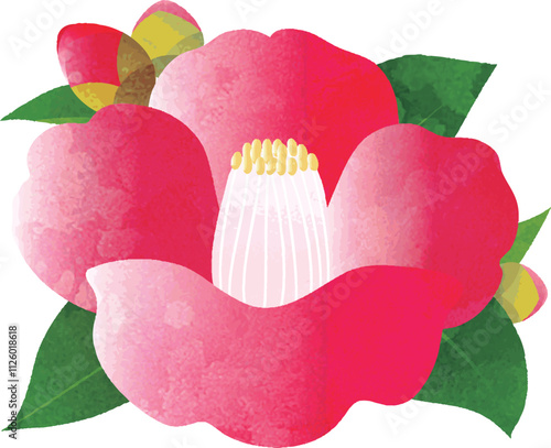 椿　つばき　水彩　手描き　花　植物　冬　イラスト素材