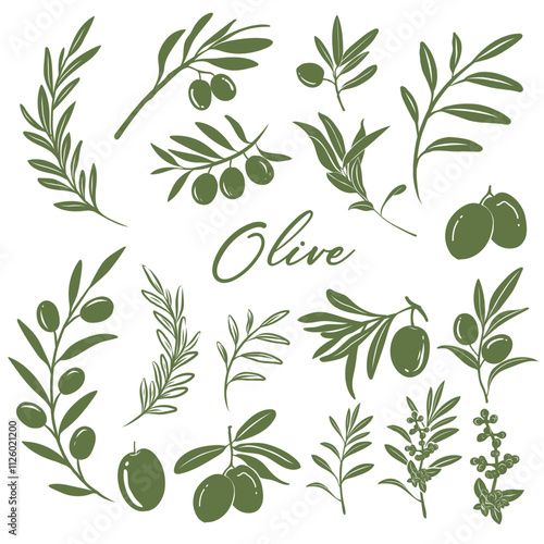 Set of Olive Green silhouettes. Branches With olives, Leaves for creating logos, patterns, greeting cards, wedding Invitations. Vector drawing isolated on white background.
