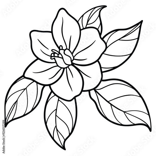 Orange Blossom with Leaves line art vector illustration Isolated on White Background