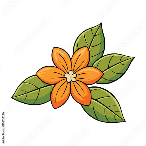 Orange Blossom with Leaves vector illustration Isolated on White Background