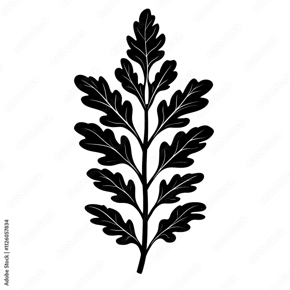 2D illustration of an arugula silhouette isolated on a white transparent background 2D illustration of an arugula silhouette isolated on a white transparent background