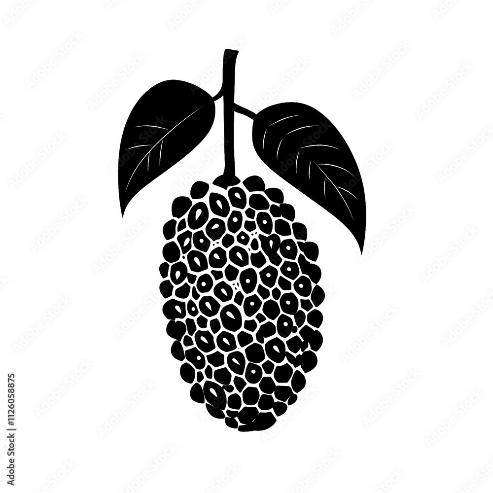 Simple creative flat 2D black and white silhouette illustration of a single marang fruit isolated on a white transparent background Simple creative flat 2D black and white silhouette illustration of a single marang fruit isolated on a white transparent background
