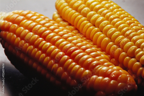 corn, maize, Zea mays, India photo