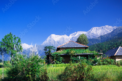 indian himalayan mountain range view India photo