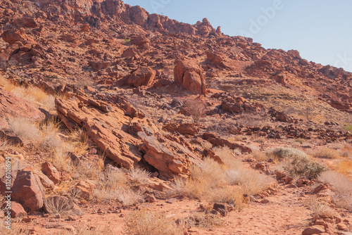 Namibia's stones - geological features of the desert.