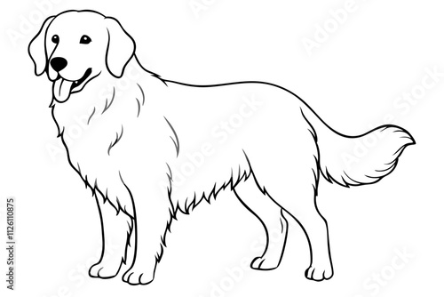 Golden Retriever Vector Line Art