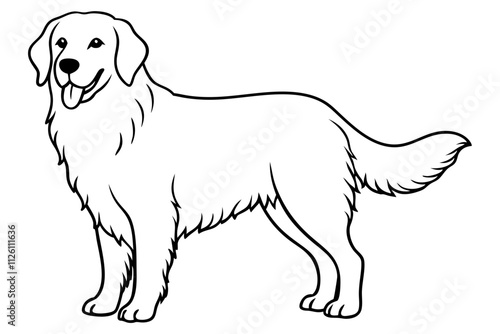 Golden Retriever Vector Line Art