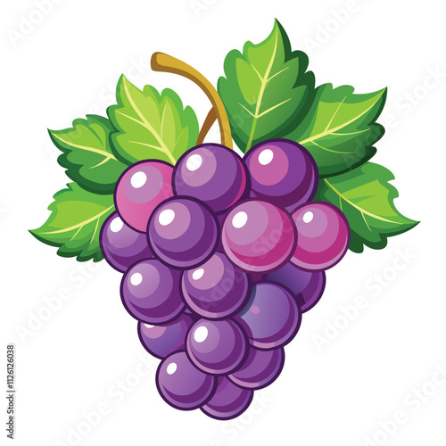 bunch of grapes Vector isolated on a white background